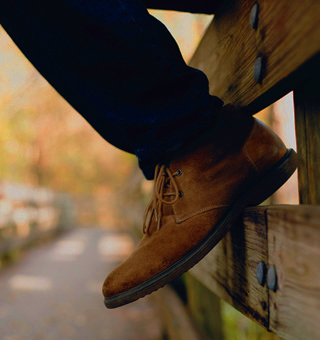 shoe